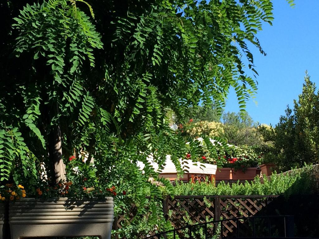 Villa Giuliana Σαν Βίτο λο Κάπο Δωμάτιο φωτογραφία